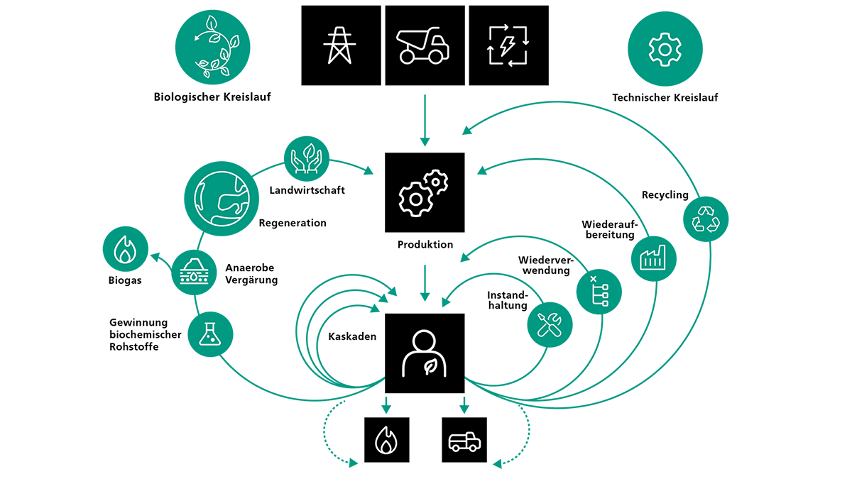 02_schmetterlingsdiagramm_Website_1920x1080