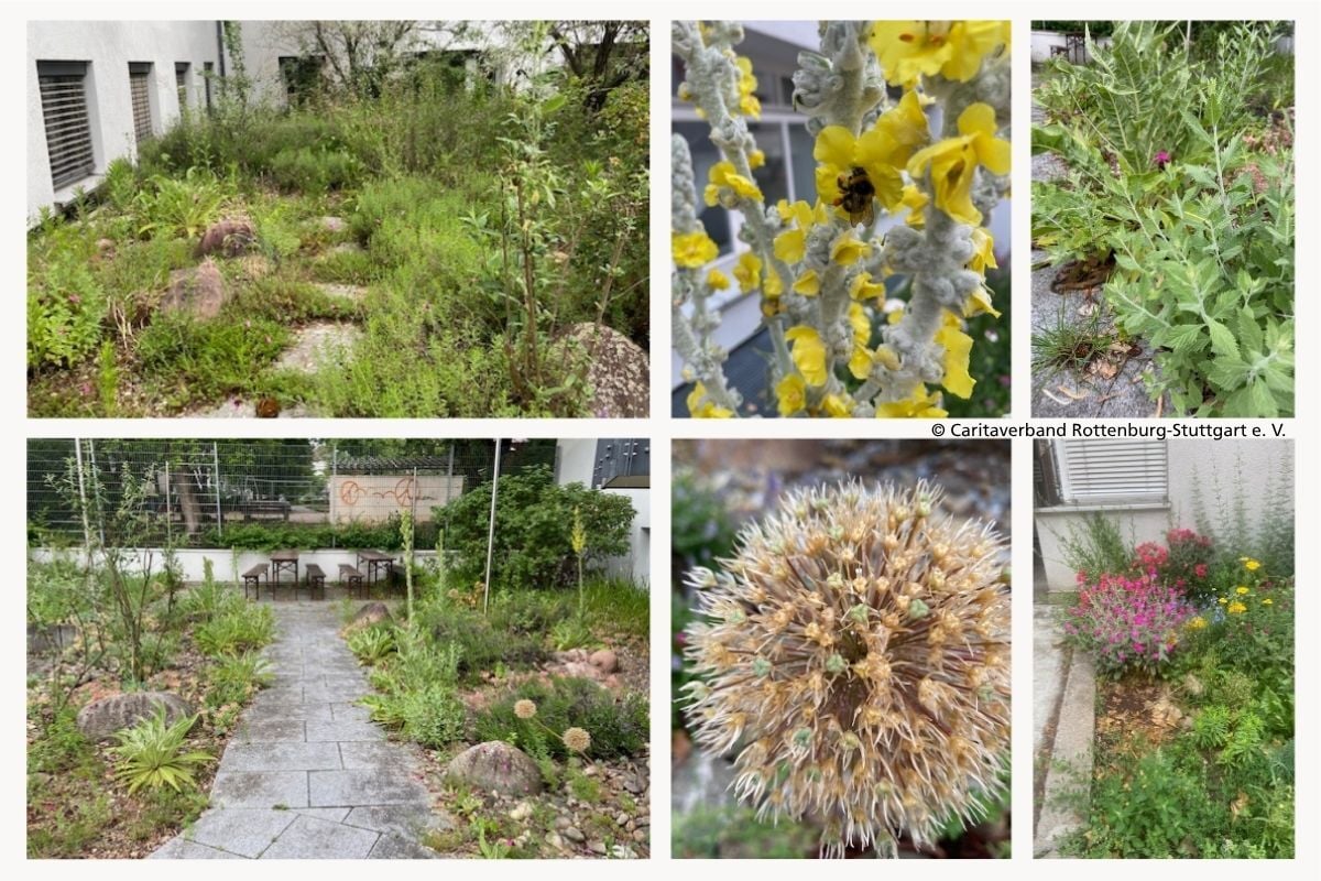Cartitasverband Rottenburg-Stuttgart_Garten_GST_2025_Website