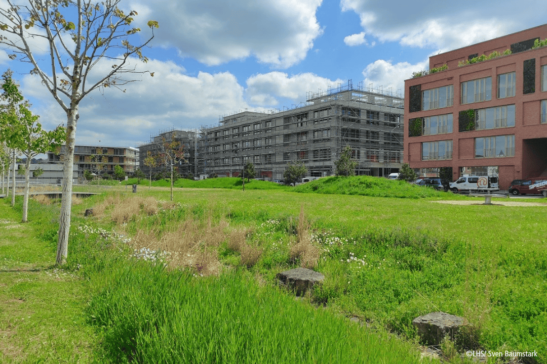 Neckarpark_c_LHS