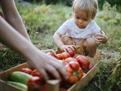 Stockfoto_Kind_Gemüsebeet_c_Getty_TwentySeven
