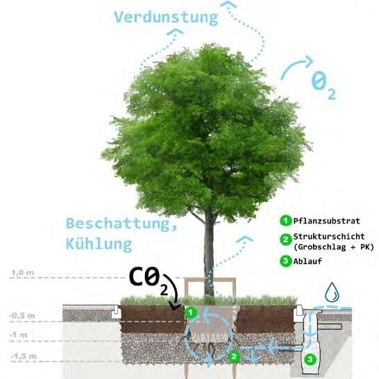 baumrigole_jahnstraße_visual_regenwassermanagement_website