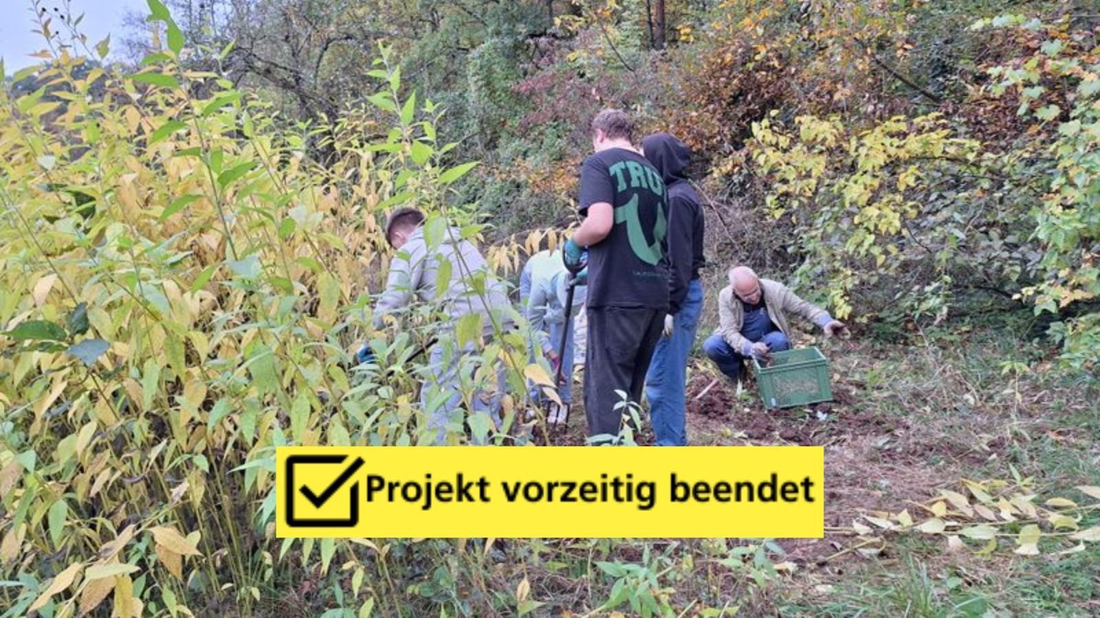 SKIF_Projektbild_KeinGarten_beendet