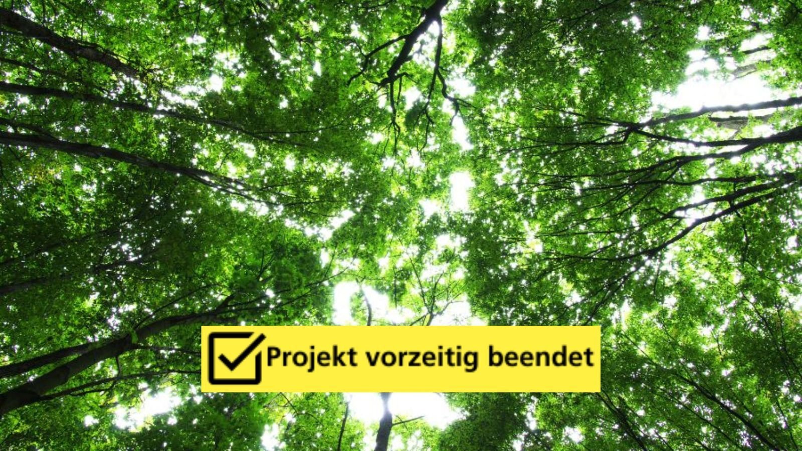 SKIF_Projektbild_TinyForests