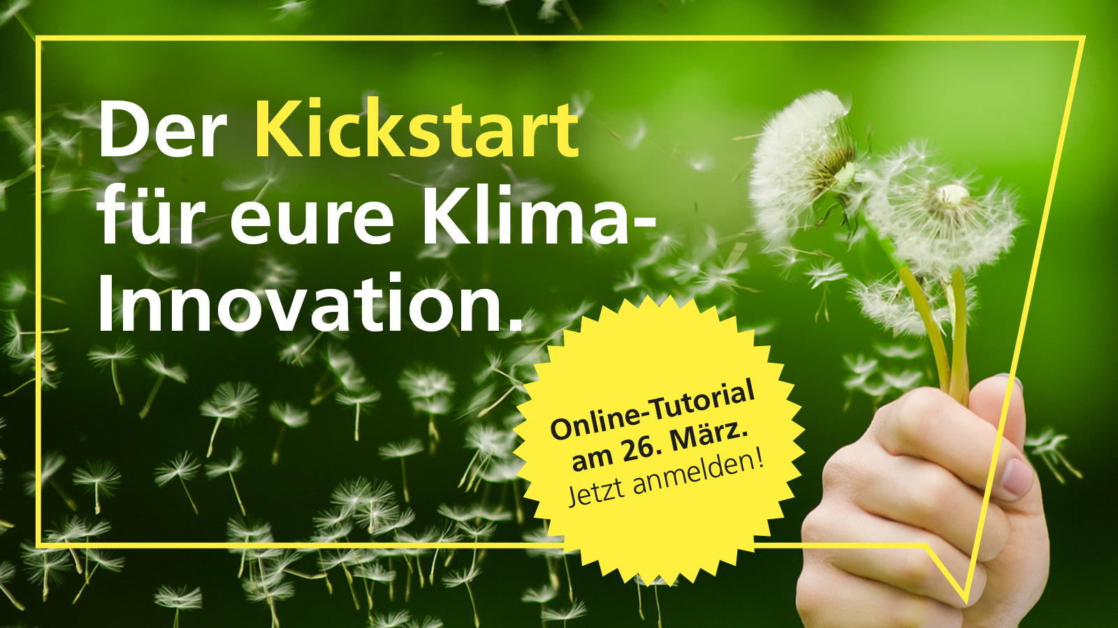 SKIF-Kickstart-Stoerer-Pusteblume
