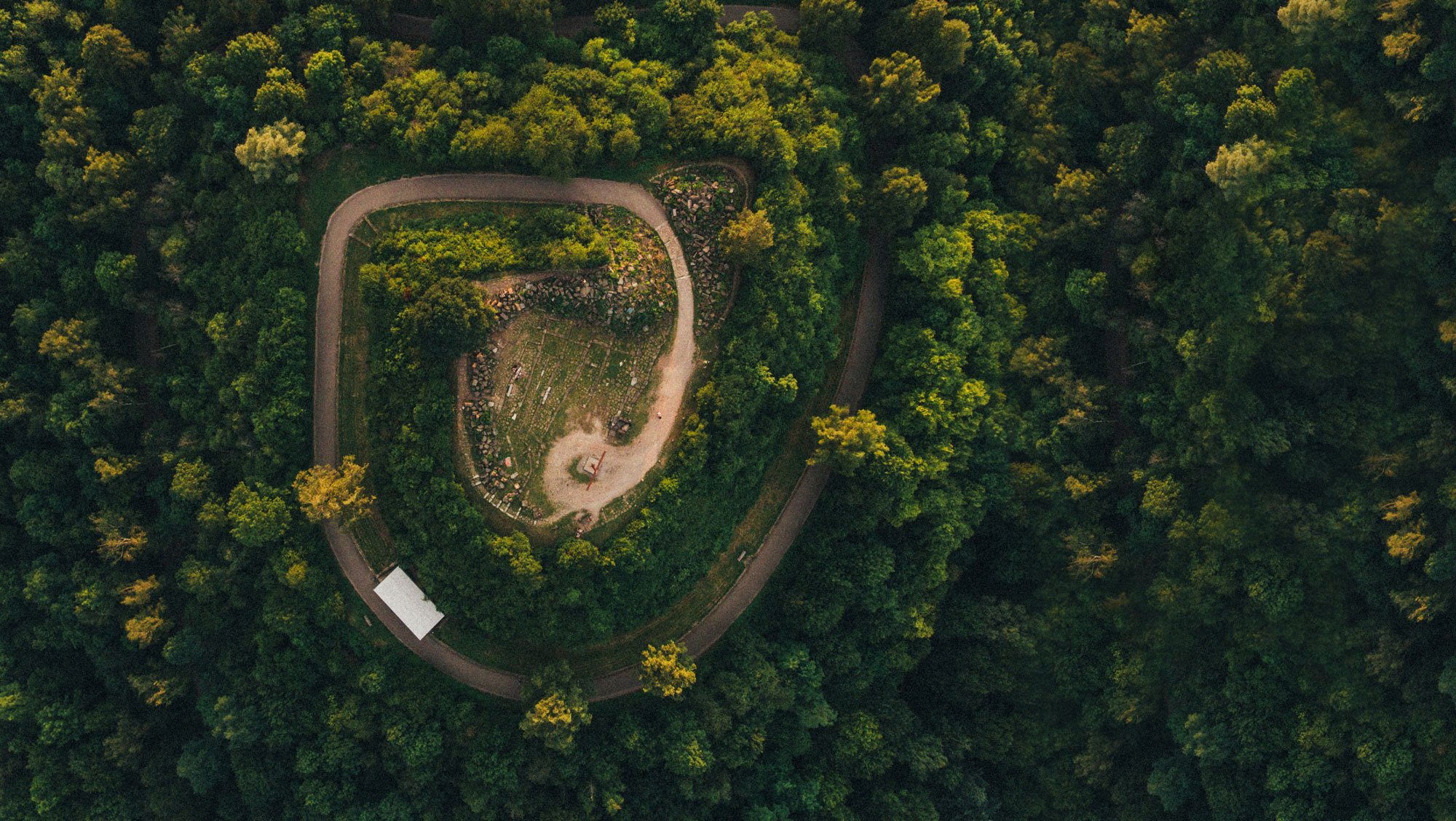 Spiralförmiger Weg durch Wald von oben